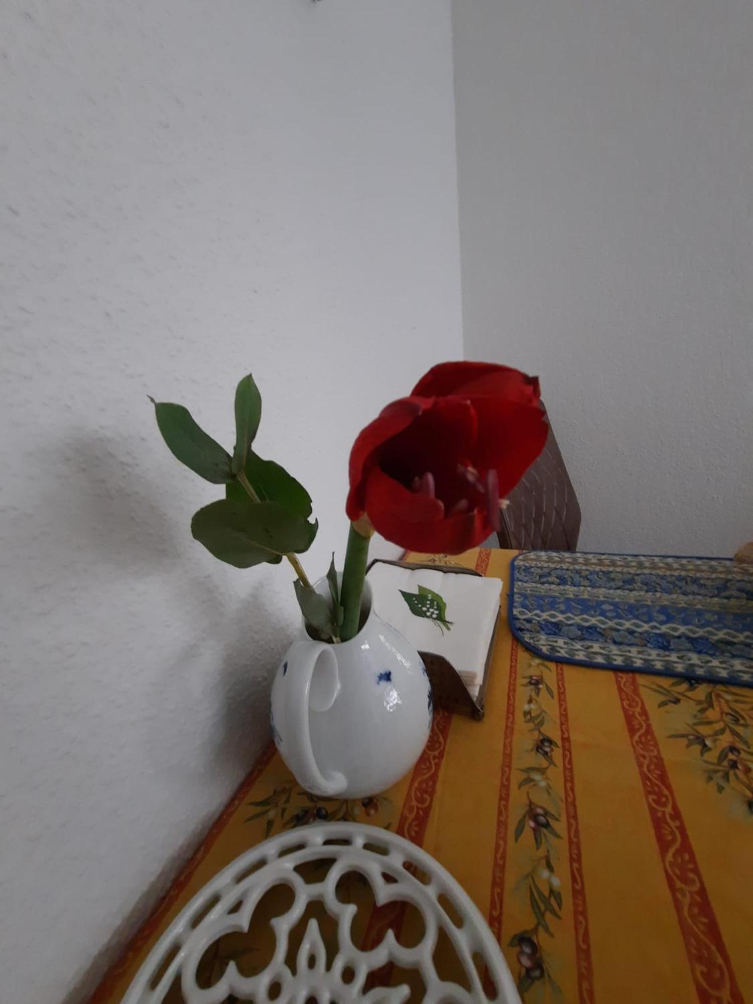 Gemuetliches Nest In Bester Koelner City-Wohnlage المظهر الخارجي الصورة